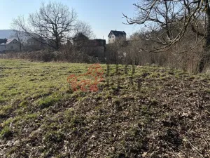 Prodej pozemku pro bydlení, Ludvíkovice, 3129 m2