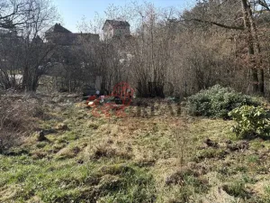 Prodej pozemku pro bydlení, Ludvíkovice, 3129 m2