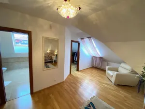 Prodej rodinného domu, Karlovy Vary, K Výhledu, 362 m2