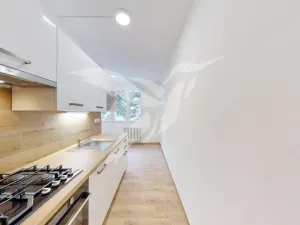 Pronájem bytu 1+1, Domažlice, Kunešova, 45 m2