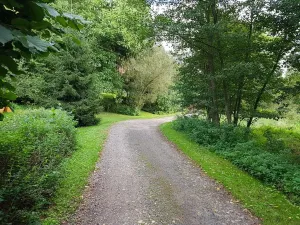 Pronájem chaty, Olešná, 55 m2