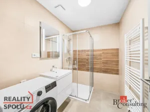 Pronájem bytu 2+kk, Plzeň - Jižní Předměstí, Železná, 60 m2