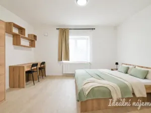Pronájem bytu 2+kk, Brno, Bubeníčkova, 35 m2