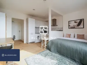 Pronájem bytu 1+kk, Praha - Vinohrady, Perucká, 27 m2