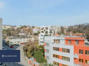 Pronájem bytu 1+kk, Praha - Vinohrady, Perucká, 27 m2