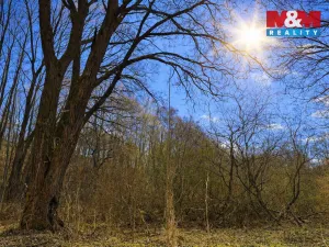 Prodej lesa, Snědovice - Střížovice, 2037 m2