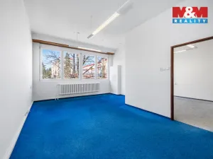 Pronájem kanceláře, Klatovy - Klatovy III, Pod Hůrkou, 211 m2