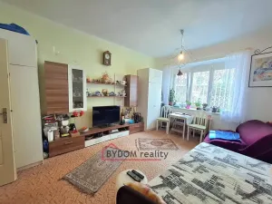 Prodej bytu 1+kk, Praha - Bubeneč, Terronská, 27 m2