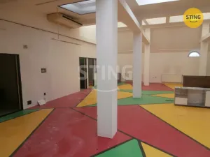 Pronájem kanceláře, Opava, Dolní náměstí, 206 m2