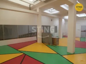 Pronájem kanceláře, Opava, Dolní náměstí, 206 m2