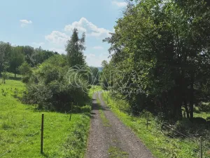 Prodej rybníku, Vojkovice - Jakubov, 105479 m2