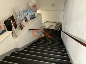 Prodej obchodního prostoru, Prostějov, Tylova, 2433 m2