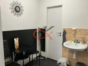 Prodej obchodního prostoru, Prostějov, Tylova, 2433 m2