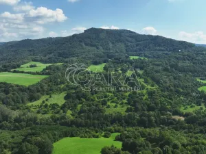 Prodej rybníku, Vojkovice - Jakubov, 40470 m2