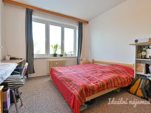 Pronájem bytu 2+1, Brno - Staré Brno, Úvoz, 55 m2