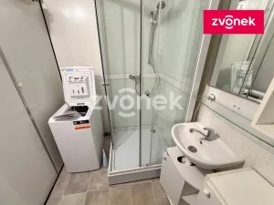 Pronájem bytu 1+1, Zlín, Větrná, 42 m2