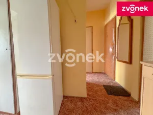 Pronájem bytu 1+1, Zlín, Větrná, 42 m2