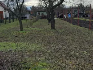 Prodej zahrady, Břeclav, Letiště, 1429 m2