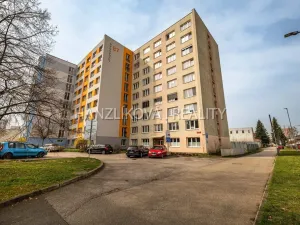 Prodej bytu 3+1, České Budějovice - České Budějovice 3, Jírovcova, 65 m2