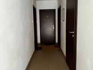 Prodej bytu 2+kk, Hodonín, Milíčova, 52 m2