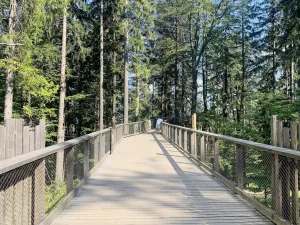 Prodej bytu 2+1, Vrchlabí - Hořejší Vrchlabí, Horská, 59 m2