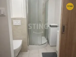 Pronájem bytu 1+kk, Ostrava, Francouzská, 27 m2