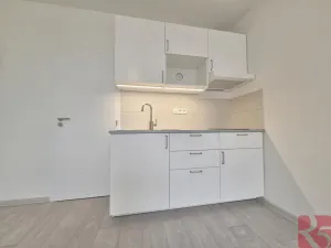 Pronájem bytu 1+kk, Praha - Nusle, Sdružení, 28 m2