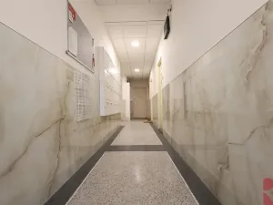 Pronájem bytu 1+kk, Praha - Nusle, Sdružení, 28 m2