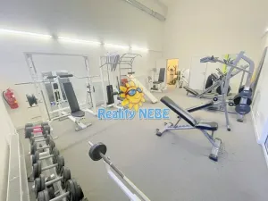 Pronájem bytu 1+kk, Praha - Hostivař, Hornoměcholupská, 26 m2