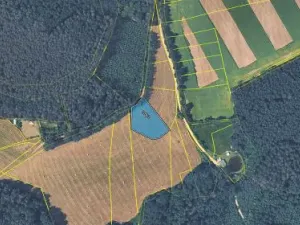 Prodej pole, Holubov, 2498 m2