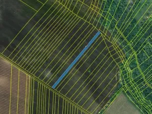 Prodej pole, Bořetice, 1862 m2