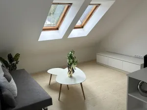 Prodej bytu 2+kk, Horní Planá, Palackého, 31 m2