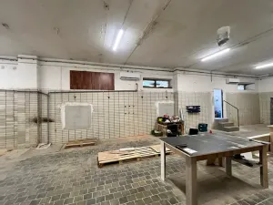 Pronájem výrobních prostor, Prostějov, Vrahovická, 170 m2