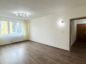 Pronájem bytu 2+1, Cheb, Přátelství, 49 m2