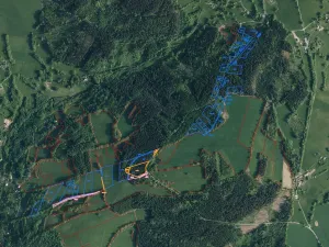 Prodej pole, Zlatá Olešnice, 9937 m2