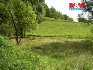 Prodej louky, Janův Důl, 2749 m2