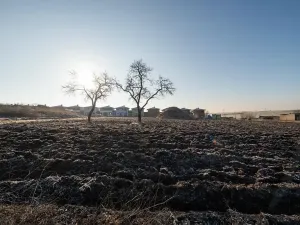 Prodej pozemku pro bydlení, Syrovice, 624 m2