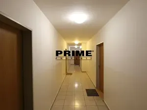Pronájem bytu 2+kk, Praha - Žižkov, Jeseniova, 54 m2