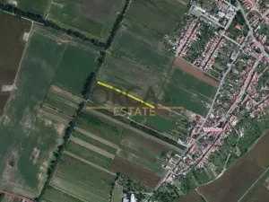 Prodej pole, Tvrdonice, 1967 m2