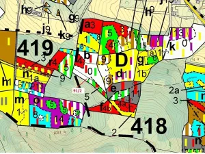 Dražba lesa, Pačejov, 1363 m2
