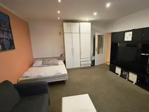 Pronájem bytu 2+1, Praha - Holešovice, 50 m2