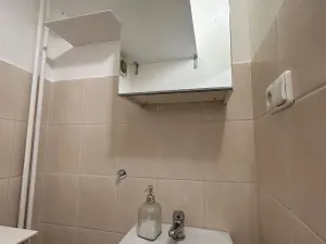 Pronájem bytu 1+1, Praha - Braník, Branická, 28 m2