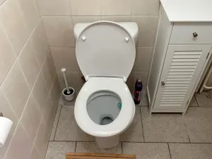 Pronájem bytu 1+1, Praha - Braník, Branická, 28 m2