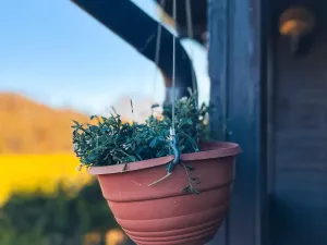 Prodej chaty, Plzeň, K Jezírku, 55 m2