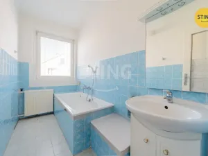 Prodej rodinného domu, Třeština, 180 m2