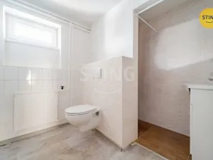 Prodej rodinného domu, Třeština, 180 m2