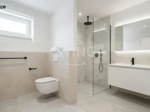 Prodej rodinného domu, Třeština, 180 m2