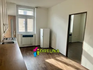 Pronájem bytu 2+kk, České Budějovice, Matice školské, 46 m2