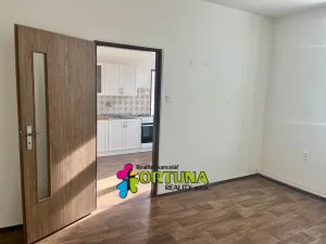 Pronájem bytu 2+kk, České Budějovice, Matice školské, 46 m2