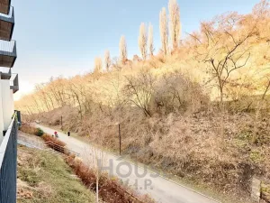 Prodej bytu 1+kk, Praha - Žižkov, Hartigova, 45 m2